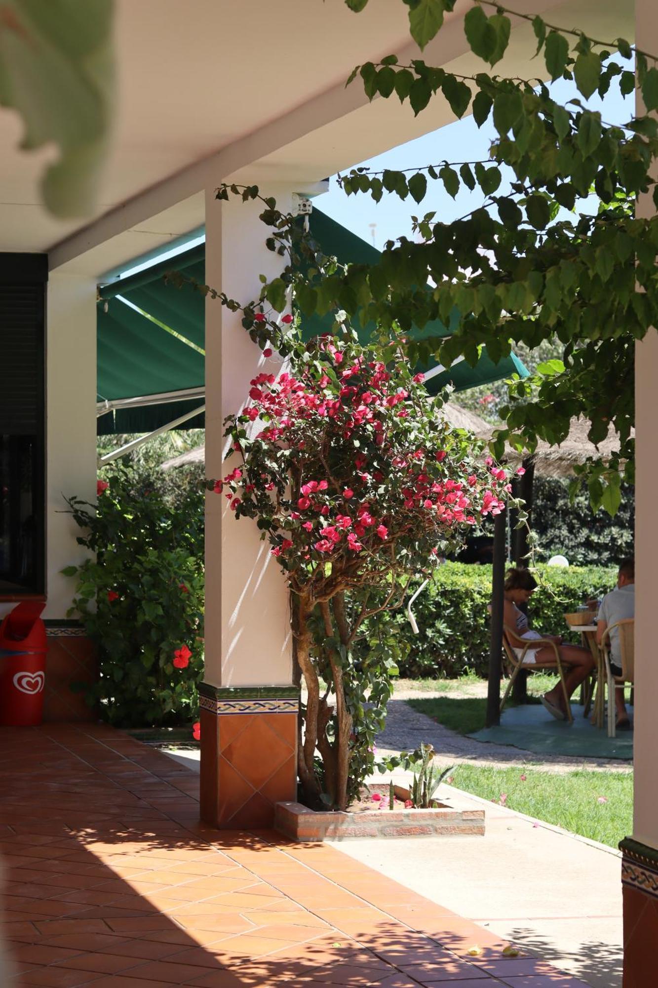 Hostal Restaurante La Ilusion El Palmar  Dış mekan fotoğraf