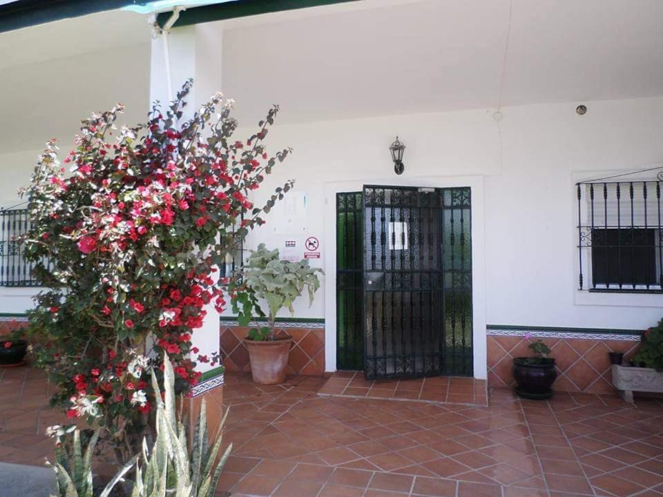 Hostal Restaurante La Ilusion El Palmar  Dış mekan fotoğraf